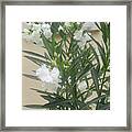 White Flowers With A Closed Window Behind Framed Print