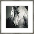 White Horse Head Art Portrait Framed Print