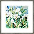 White Irises Framed Print