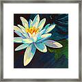 White Lily Iii Framed Print