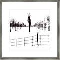 White Lines Fenced In Framed Print