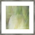 White Lisianthus In Abstract Framed Print