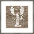 White Lobster On Wood- Art By Linda Woods Framed Print