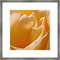 White Peace Framed Print