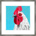 White Rooster With Blue Background Framed Print