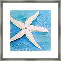 White Starfish Framed Print