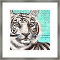 White Tiger Framed Print
