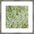 White Weeds Framed Print