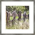 Who Ate The Fence Framed Print
