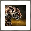 Who Goes There Framed Print