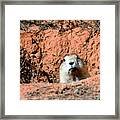 Who's There? Framed Print