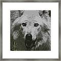 Wide Eyes Vision Framed Print