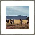 Wide Open Spaces Framed Print