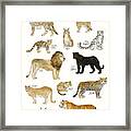 Wild Cats Framed Print