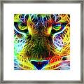 Wild Cat's Eyes Framed Print