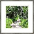 Wild Florida Nature Path Framed Print