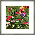 Wild Flower Meadow Framed Print