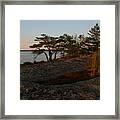 Wild Grass At Sunset - Georgian Bay Framed Print