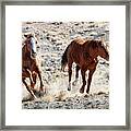Wild Horses Couple #5 Framed Print