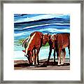 Wild Horses Outer Banks Framed Print