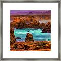 Wild Mendocino Coast Framed Print