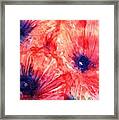 Wild Poppies Framed Print