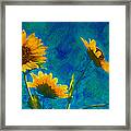 Wild Sunflowers Singing Framed Print