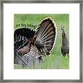 Wild Turkey Said Are They Looking Framed Print
