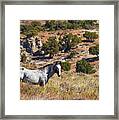 Wild Wyoming Framed Print