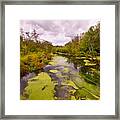 Wilderness Creek In The Autumn Woods Framed Print