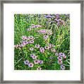 Wildflower Bouquet In Glacial Park Framed Print