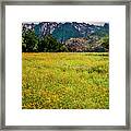 Wildflower Field In The Wichita Mountains Framed Print