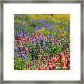 Wildflower Meadow And Hummingbird Framed Print