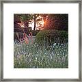 Wildflower Meadow At Sunset, Great Dixter Framed Print