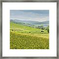 Wildflower Meadows, Transylvania Framed Print