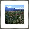 Wildflower Path Framed Print