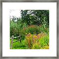 Wildflowers And Fence In Bridgewater Framed Print