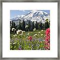 Wildflowers In Mount Rainier National Framed Print