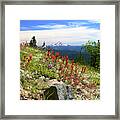 Wildflowers In The Cascades Framed Print