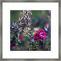 Wildflowers On A Cloudy Day Framed Print
