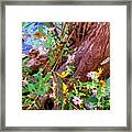 Wildflowers On A Cypress Knee Framed Print