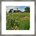 Wildflowers On Midwest Farm Framed Print