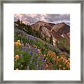 Wildflowers With Twin Peaks At Sunset Framed Print