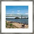 Wildlife And Williamstown Bridge Framed Print