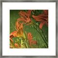 Wind Blown And Rain Spattered Framed Print