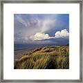 Wind In The Grass Framed Print