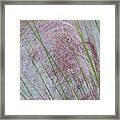 Wind Reeds Framed Print