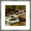 Winding Through Avalanche Creek Framed Print