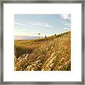 Windmill And The Fence Sundown Framed Print