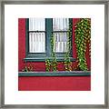 Window And Vines Framed Print